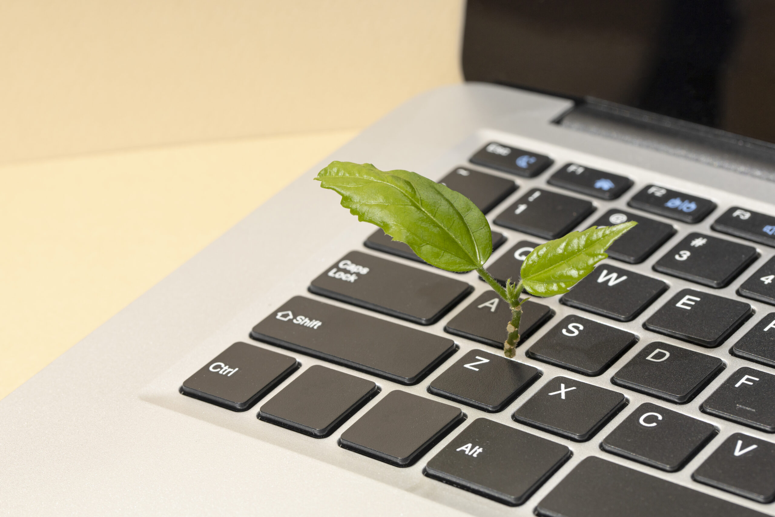 balancing evergreen and trending content